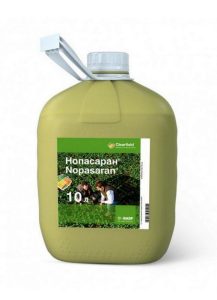 Нопасаран