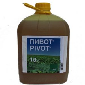Пивот